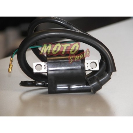 ΠΟΛΛΑΠΛΑΣΙΑΣΤΗΣ YAMAHA CRYPTON ROC