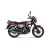 SUZUKI SHOGUN 100